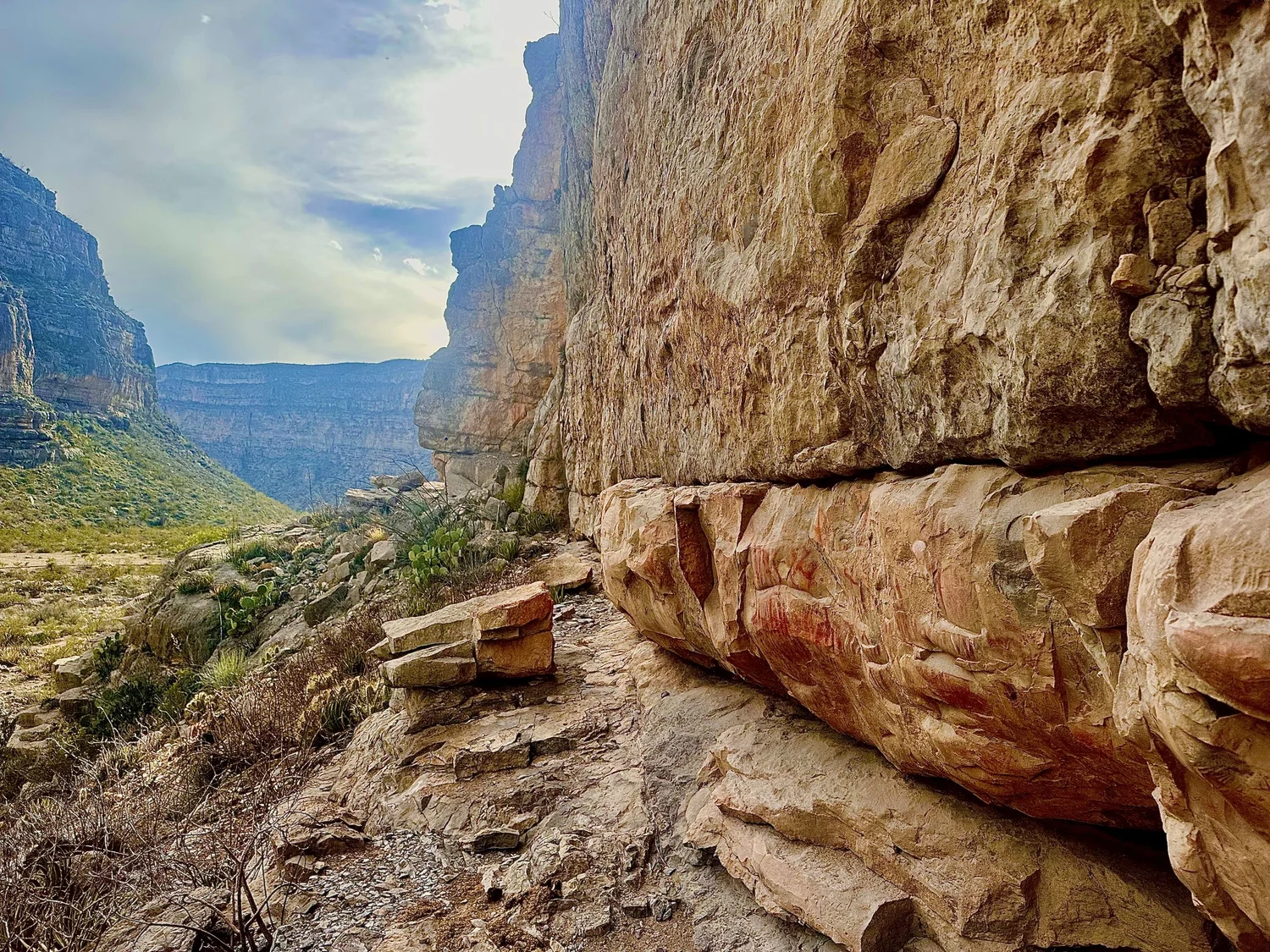 Canyon view with SECA Carnivore Chips